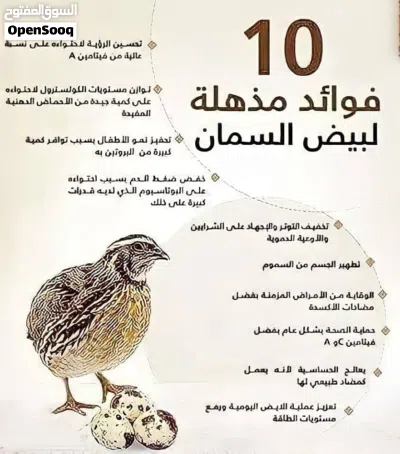 دحي سمان تجميع جديد 3