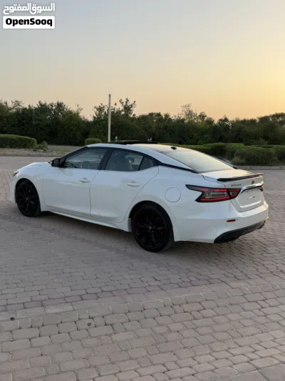 Nissan Maxima SR1 3