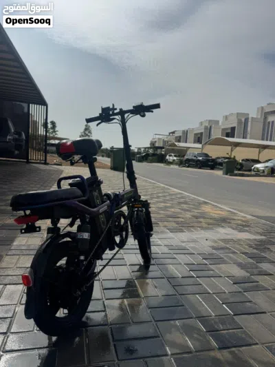Electric bike Scooter 2