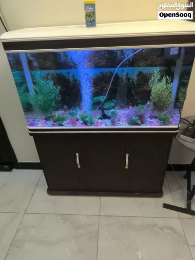 حوض سمك كبير و مناسب 2