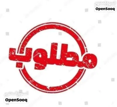 مطلوب طيور فنش 2