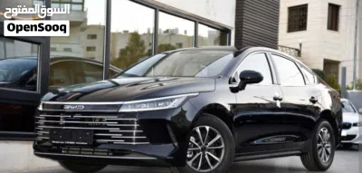 BYD Destroyer 05 3