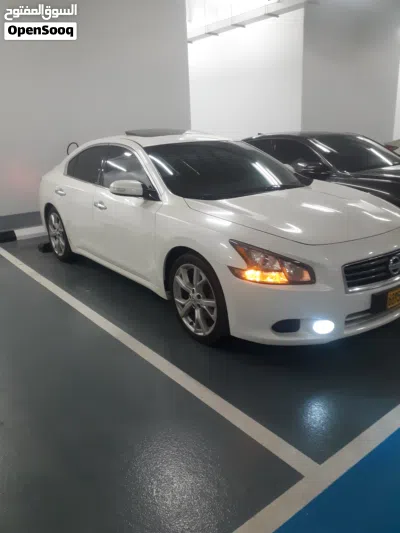 Nissan Maxima SV 2