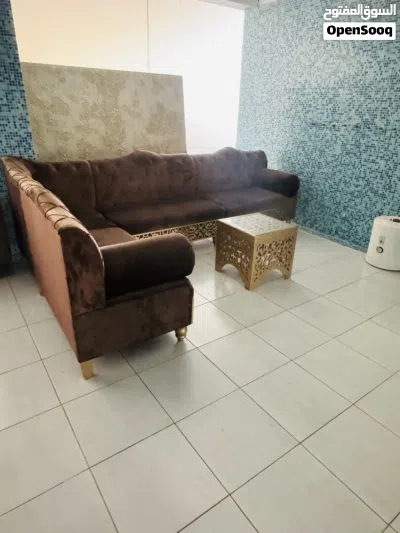 كنبات حرف L استعمال خفيف جدا 2
