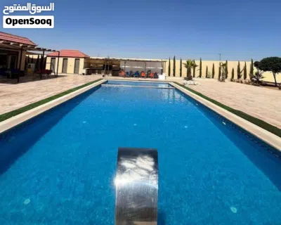 مزارع وشليهات 4