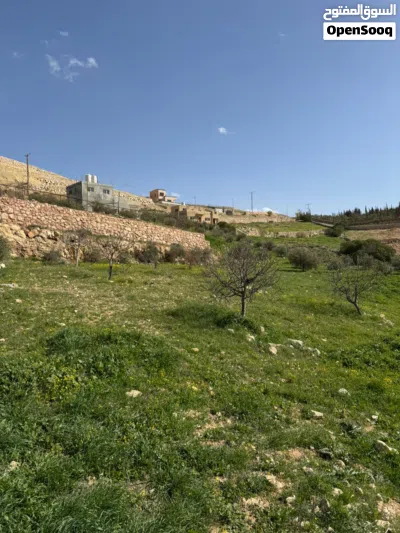 قطعة أرض زراعية من المالك مباشرة 2