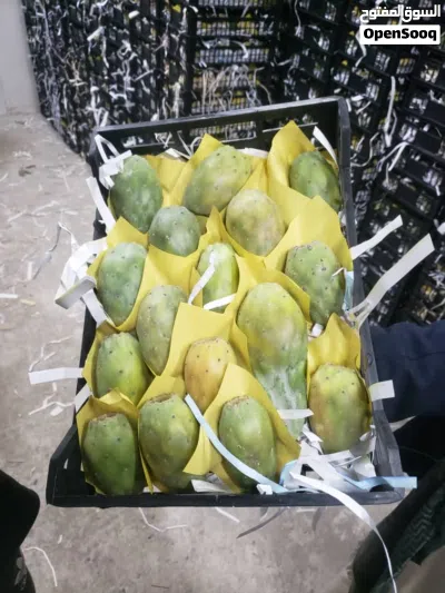 تين شكوي يمني صافي من الشوك درجه اولى Yemeni figs, pure and thornless, first grade 2