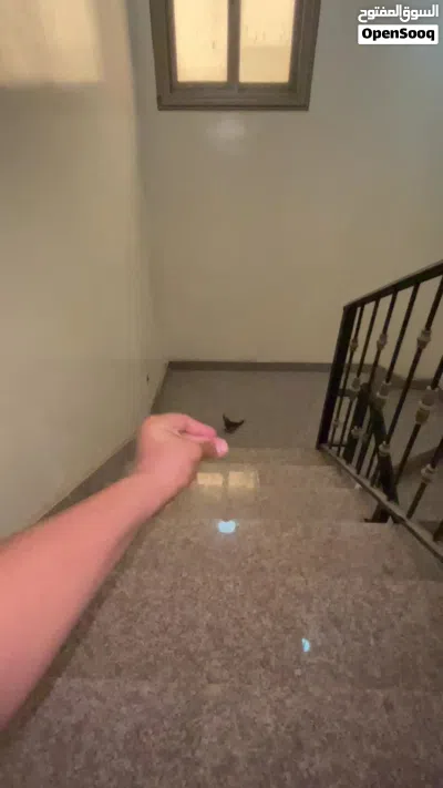 للبيع نثيه كروان ربوه فل 3