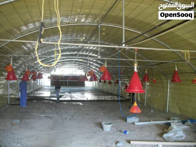 undefined 4