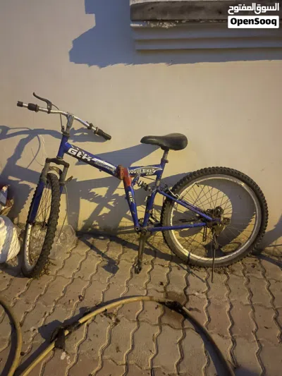 QJmotor Commute 2