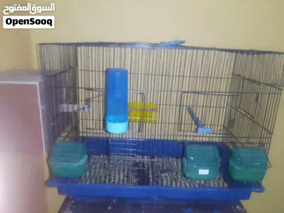 كوبيه بركديلو منتجه صحه ونضافه ربي يبارك 4