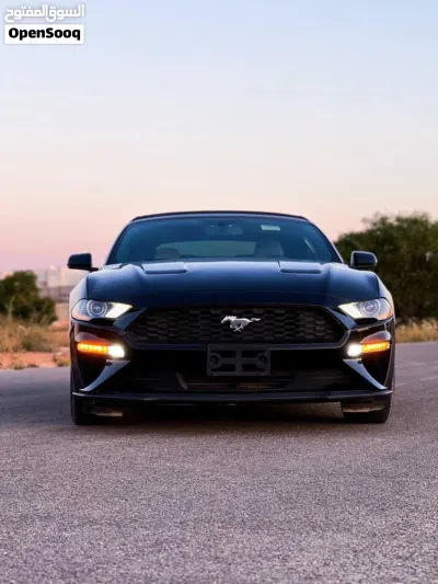 Ford Mustang GT Premium 3