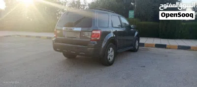 Ford Escape Standard 4