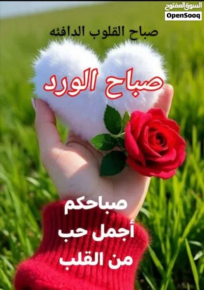 خزانه شباب ماليزي 2