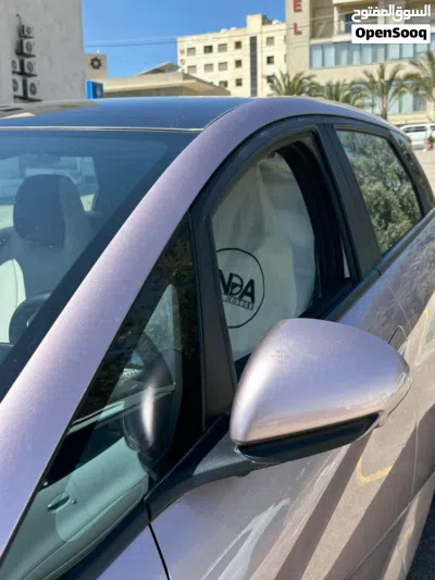 BYD Dolphin 2