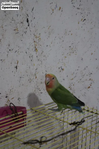 undefined 2