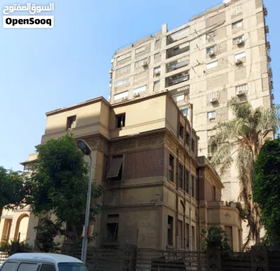 قصر طلعت حرب باشا للبيع قطعه اثريه ف الزمالك وفيو النيل ومعاها مقتنيات نادره 2