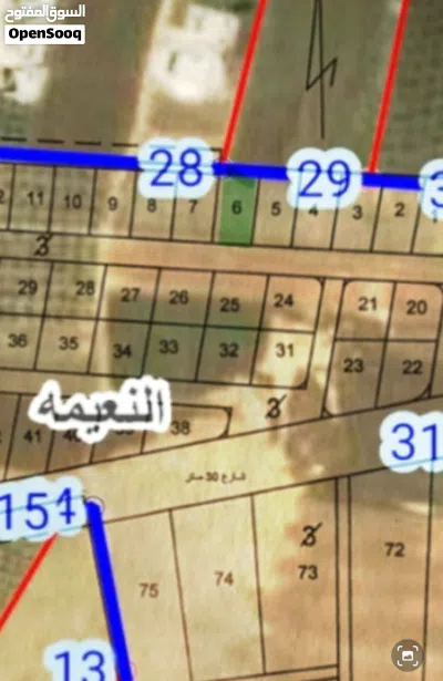 ارض للبيع تنظيم ب مساحة دنم من اراضي النعيمة 2