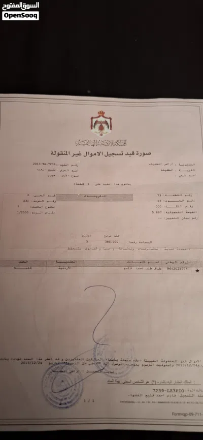 أرض للبيع في الطفيلة 2