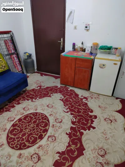 مشارك سكن نحتاج إلى فرد واحد 2