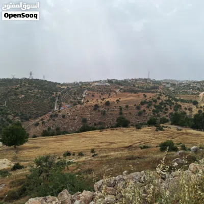 1500 متر في بدر الجديده بأعلى قمه على شارعين من المالك مباشره تصلح لبناء فيلا أو للإستثمار . 3