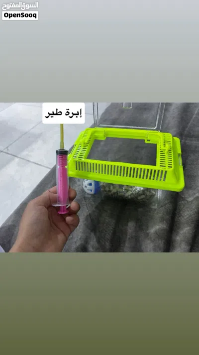 السلام عليكم قفص مال فروخ طير اللوف بيرد او الروز القفص مستعمل للتجربة فقط و شرق النظافة و حيل حلووو 2