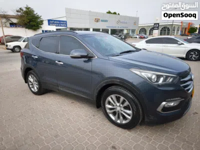 Hyundai Santa Fe Standard 2