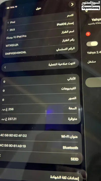Ipad Pro 11 1generation 120Hz 265GB 2