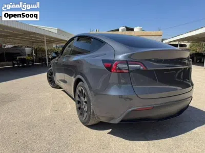 Tesla Model Y Standard Range 3