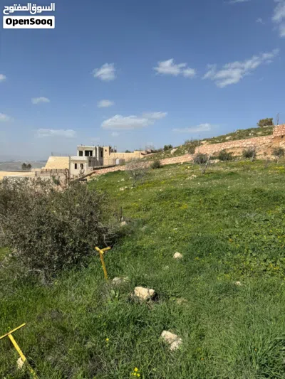 قطعة أرض زراعية من المالك مباشرة 3