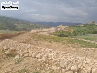 ارض مميزه للبيع كاش او اقساط 2
