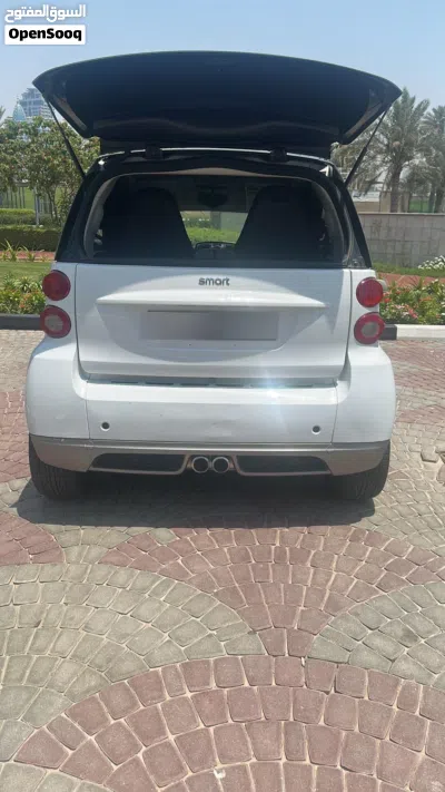 Smart Other 3
