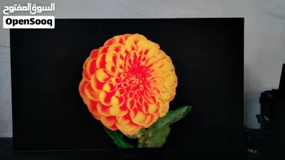 undefined 3