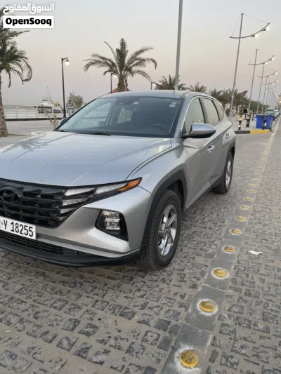 Hyundai Tucson SE 3