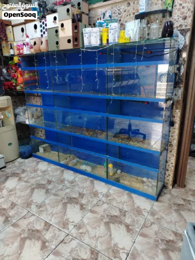 undefined 2