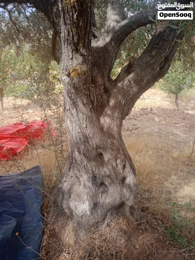 undefined 4