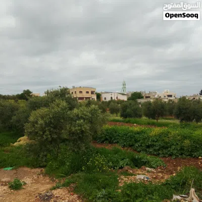 قطعة أرض في بشرى 2