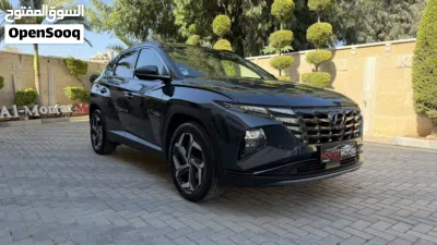 Hyundai Tucson Standard 2