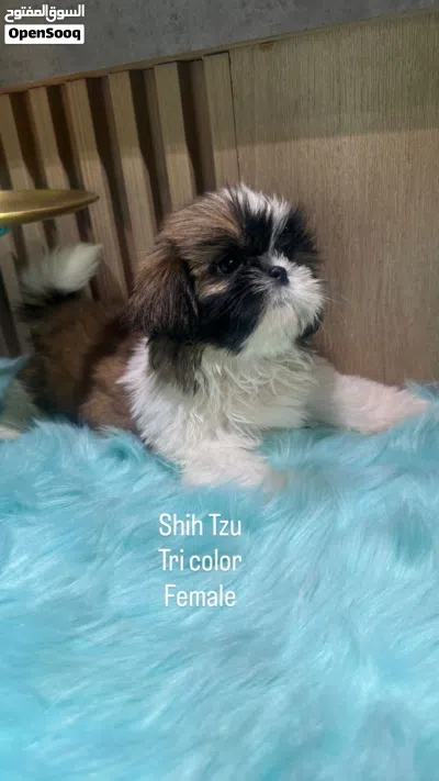undefined 2