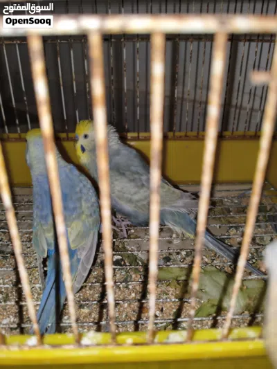 undefined 3