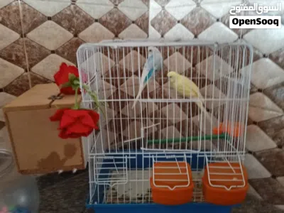 undefined 4