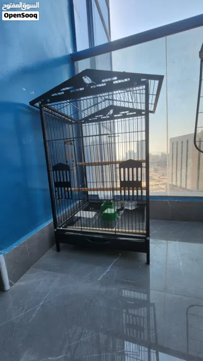 قفص للطيور مع اكسسوارته Cage for birds and some accessories 2