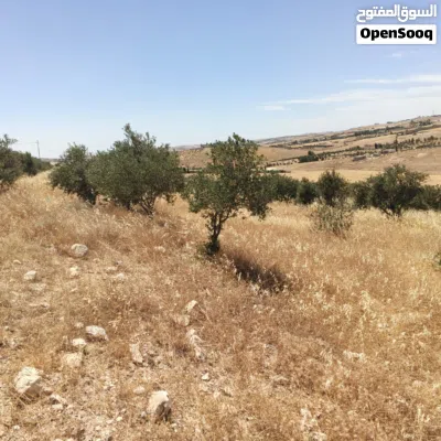 undefined 2