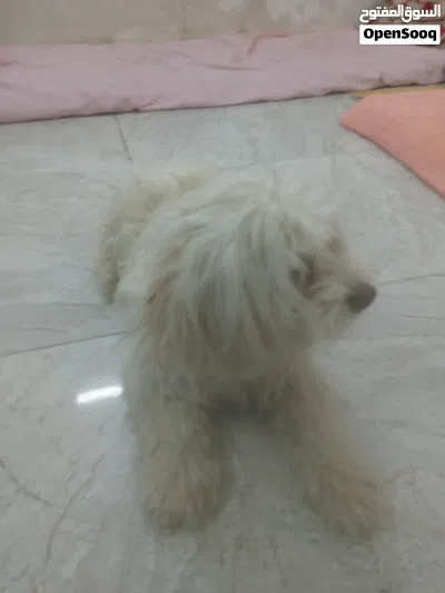 undefined 2