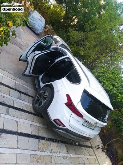 Hyundai Santa Fe Standard 2