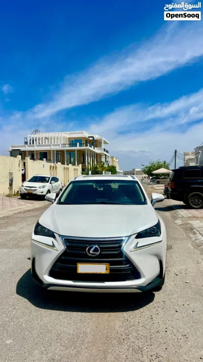 Lexus NX NX 250 2