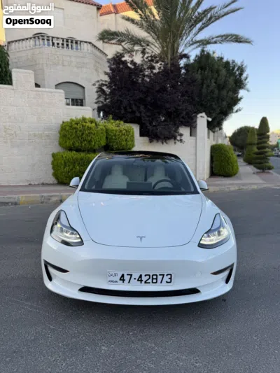 Tesla Model 3 Standard Plus 2