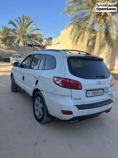 Hyundai Santa Fe Standard 4
