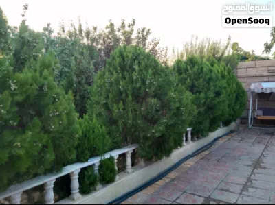 مزرعة للايجار 2