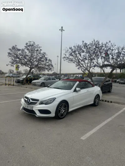 Mercedes Benz E-Class E 250 2